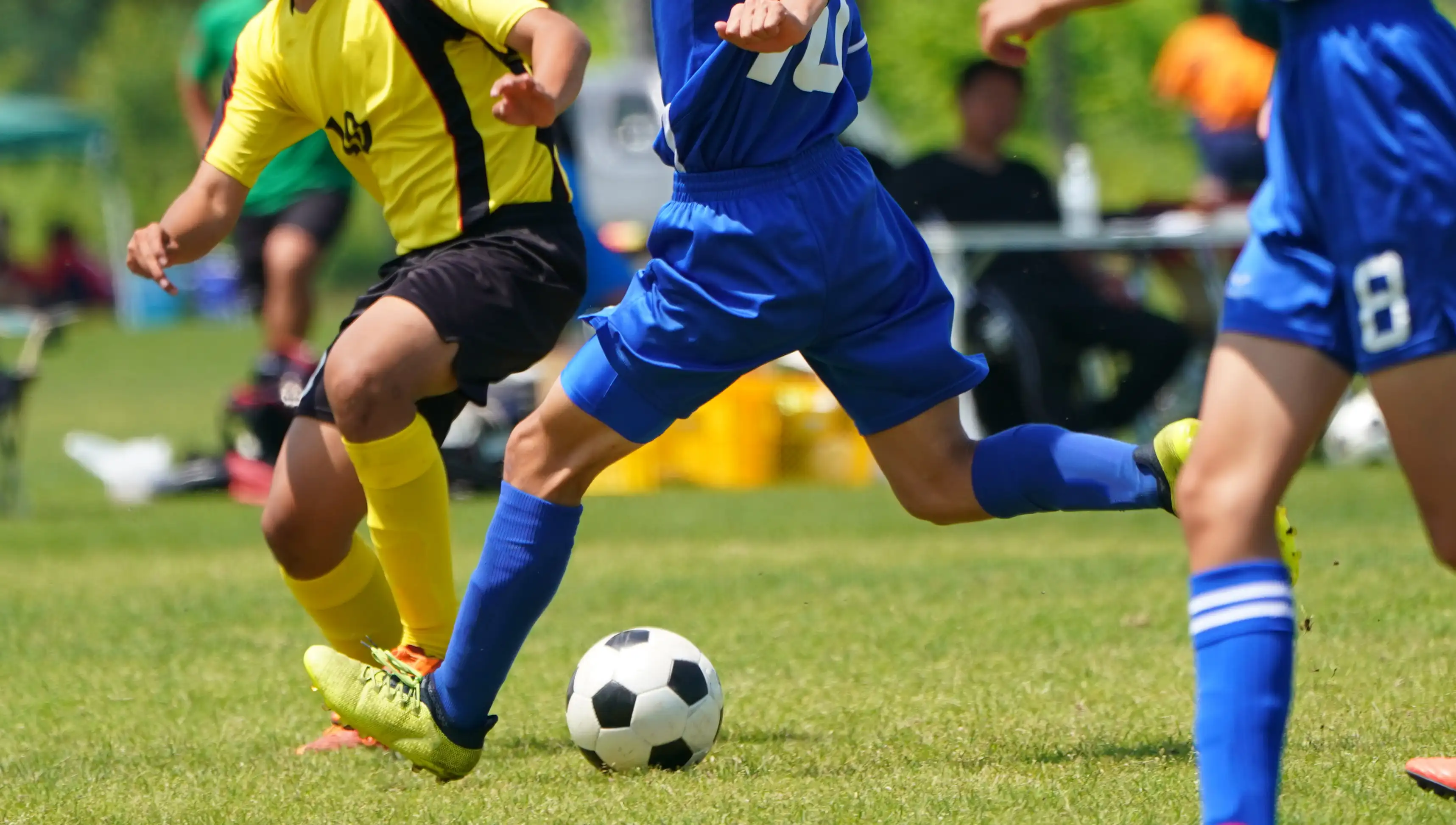 Three soccer players competing for the ball on a grassy field during a match with two in blue uniforms and one in yellow and black and spectators visible in the background